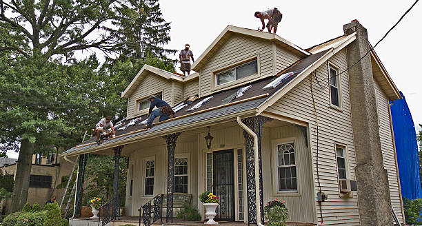 Best Storm Damage Roof Repair  in West Park, NJ